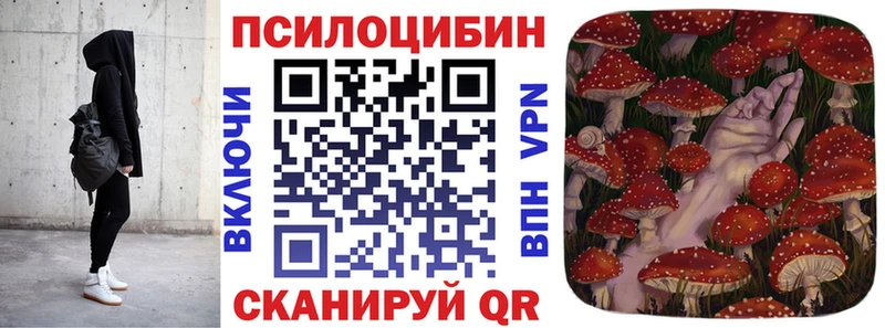 Галлюциногенные грибы GOLDEN TEACHER  магазин  наркотиков  Волгоград 