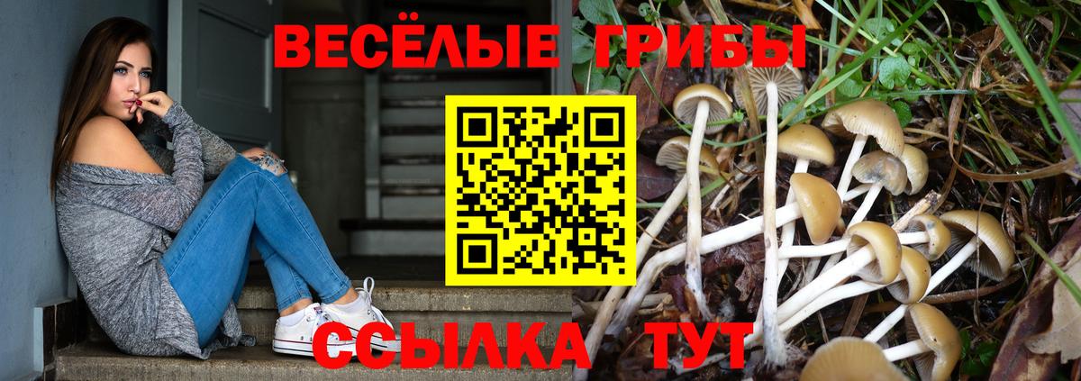 Галлюциногенные грибы GOLDEN TEACHER Волгоград