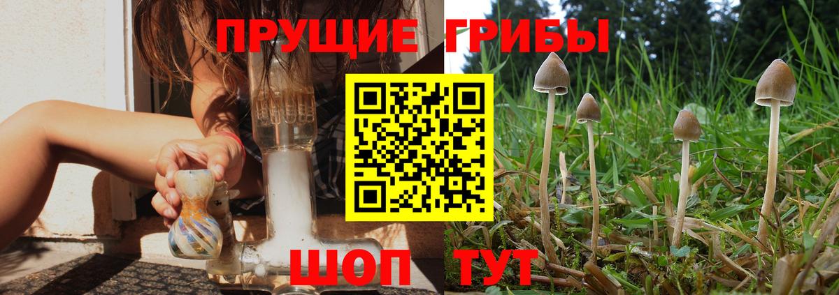 Волгоград  Псилоцибиновые грибы ЛСД  Вход с VPN  Галлюциногенные грибы прущие грибы 