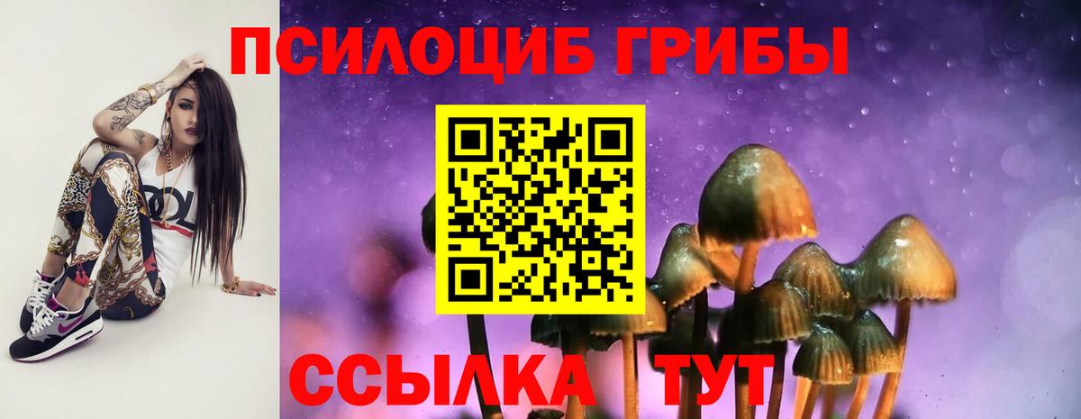 Псилоцибиновые грибы прущие грибы  Волгоград  Псилоцибиновые грибы прущие грибы 