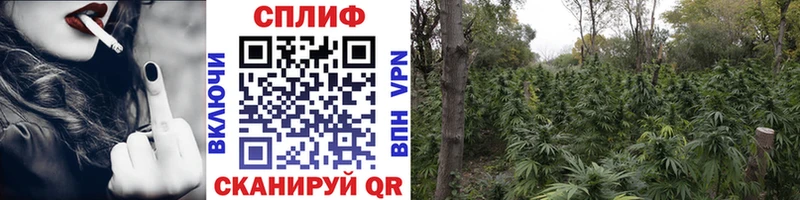 Шишки марихуана ГИДРОПОН  наркошоп  Волгоград 