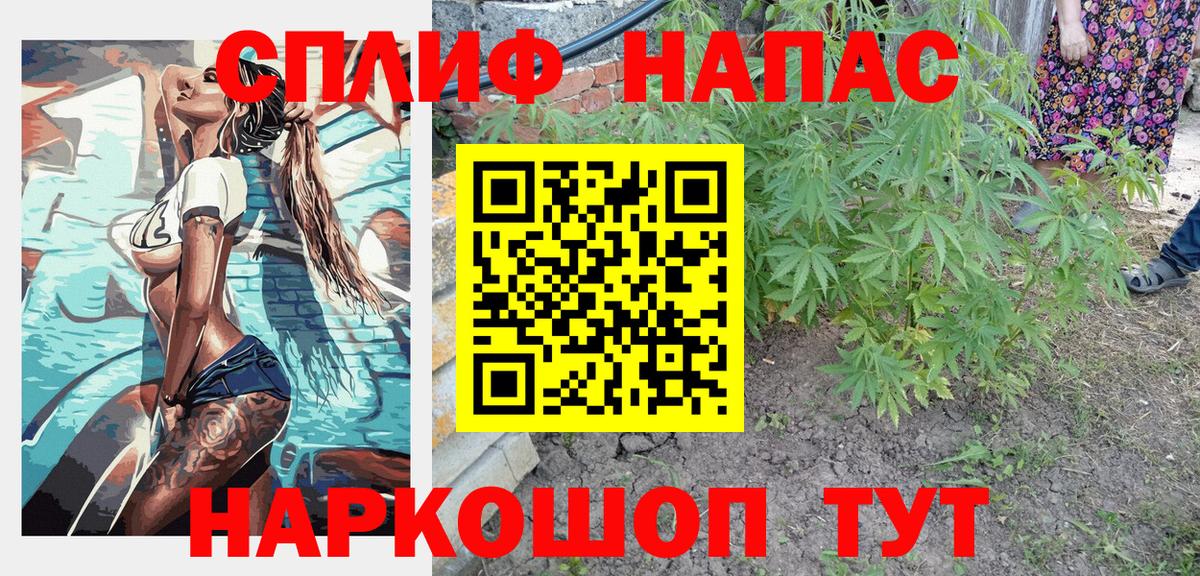 Марихуана семена Волгоград